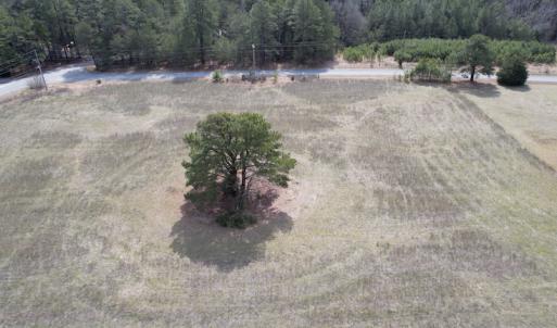 Photo #5 of Off Pheasant Run Road , Exmore, VA 2.1 acres