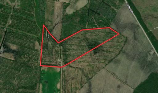 Photo #1 of Off Old Dothan Rd, Tabor City, NC 31.0 acres