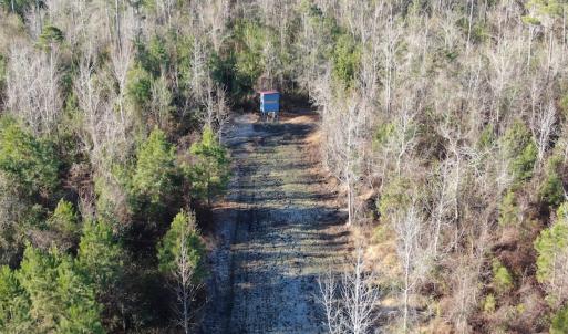Photo #4 of Off Old Dothan Rd, Tabor City, NC 31.0 acres