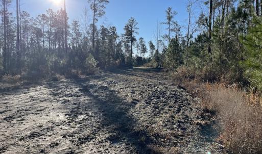 Photo #17 of Off Old Dothan Rd, Tabor City, NC 31.0 acres