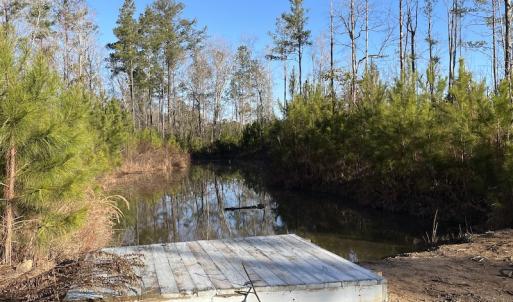 Photo #18 of Off Old Dothan Rd, Tabor City, NC 31.0 acres