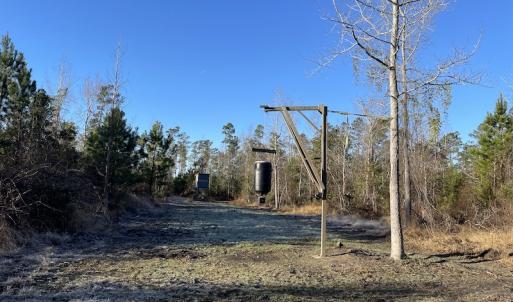 Photo #23 of Off Old Dothan Rd, Tabor City, NC 31.0 acres