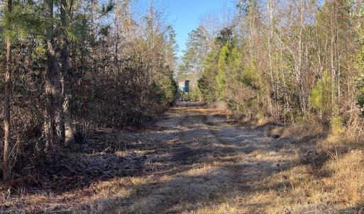 Photo #24 of Off Old Dothan Rd, Tabor City, NC 31.0 acres