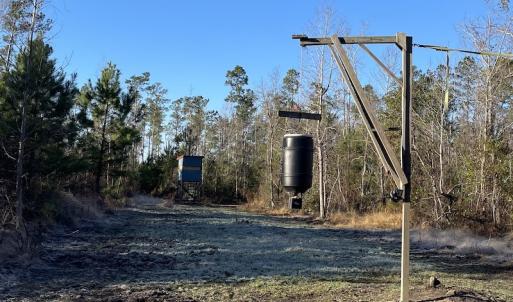 Photo #27 of Off Old Dothan Rd, Tabor City, NC 31.0 acres