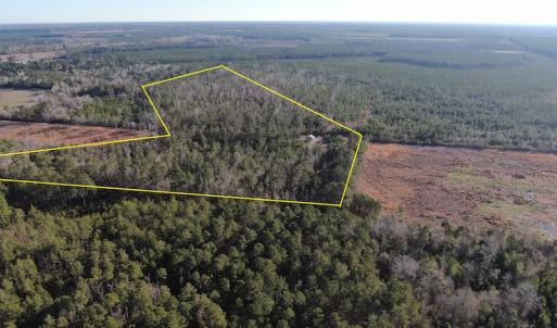 Photo #28 of Off Old Dothan Rd, Tabor City, NC 31.0 acres