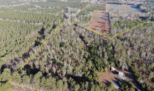 Photo #29 of Off Old Dothan Rd, Tabor City, NC 31.0 acres