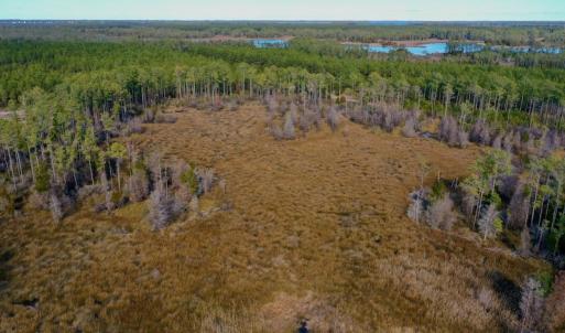 Photo #12 of SOLD property in Off Sawyer Rd, Scranton, NC 10.2 acres