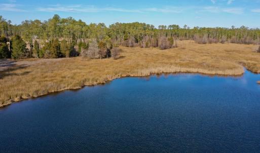 Photo #26 of SOLD property in Off Sawyer Rd, Scranton, NC 10.2 acres