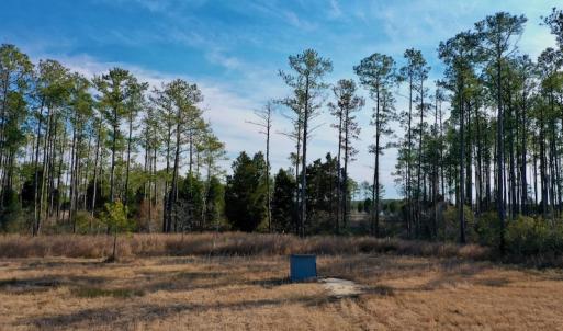 Photo #29 of SOLD property in Off Sawyer Rd, Scranton, NC 10.2 acres