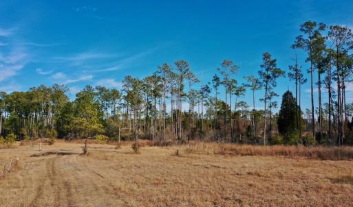 Photo #30 of SOLD property in Off Sawyer Rd, Scranton, NC 10.2 acres