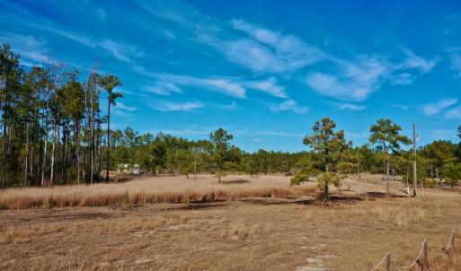 Photo #31 of SOLD property in Off Sawyer Rd, Scranton, NC 10.2 acres