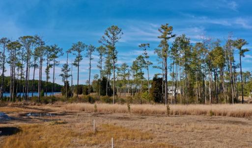 Photo #32 of SOLD property in Off Sawyer Rd, Scranton, NC 10.2 acres