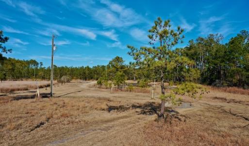 Photo #33 of SOLD property in Off Sawyer Rd, Scranton, NC 10.2 acres