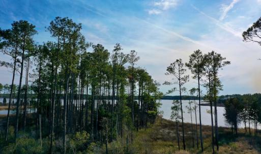 Photo #34 of SOLD property in Off Sawyer Rd, Scranton, NC 10.2 acres