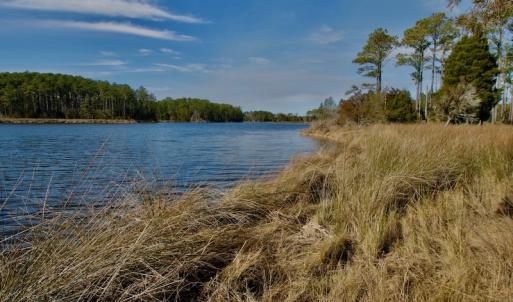 Photo #35 of SOLD property in Off Sawyer Rd, Scranton, NC 10.2 acres