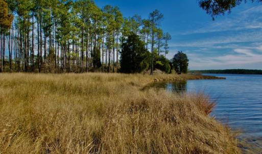 Photo #37 of SOLD property in Off Sawyer Rd, Scranton, NC 10.2 acres