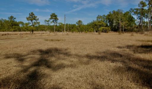 Photo #39 of SOLD property in Off Sawyer Rd, Scranton, NC 10.2 acres