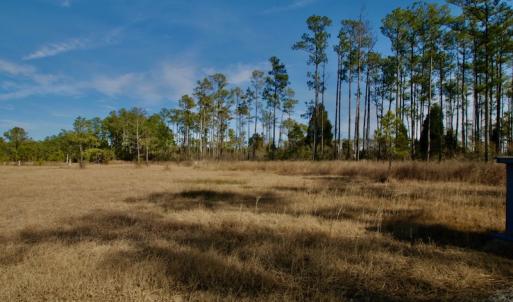 Photo #40 of SOLD property in Off Sawyer Rd, Scranton, NC 10.2 acres
