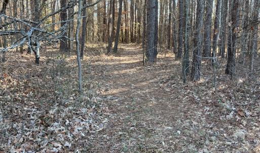 Photo #10 of SOLD property in 1520 Fiddlers Rd, Emporia, VA 85.1 acres