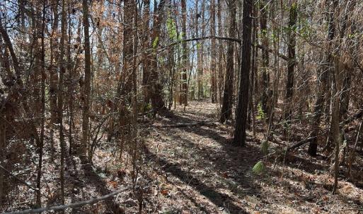 Photo #11 of SOLD property in 1520 Fiddlers Rd, Emporia, VA 85.1 acres