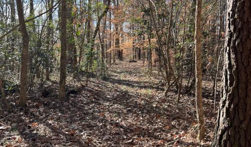 Photo #12 of SOLD property in 1520 Fiddlers Rd, Emporia, VA 85.1 acres