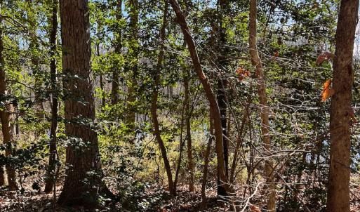 Photo #13 of SOLD property in 1520 Fiddlers Rd, Emporia, VA 85.1 acres