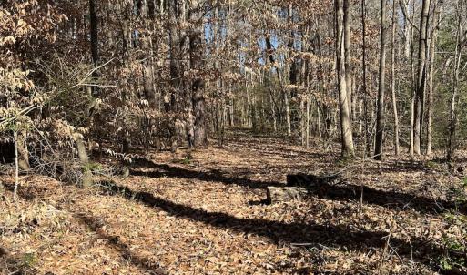 Photo #16 of SOLD property in 1520 Fiddlers Rd, Emporia, VA 85.1 acres