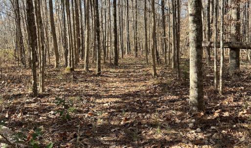 Photo #18 of SOLD property in 1520 Fiddlers Rd, Emporia, VA 85.1 acres