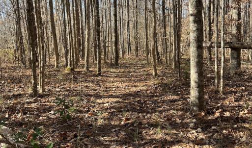 Photo #18 of SOLD property in 1520 Fiddlers Rd, Emporia, VA 85.1 acres