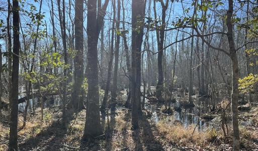 Photo #19 of SOLD property in 1520 Fiddlers Rd, Emporia, VA 85.1 acres