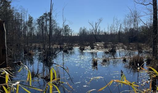 Photo #20 of SOLD property in 1520 Fiddlers Rd, Emporia, VA 85.1 acres