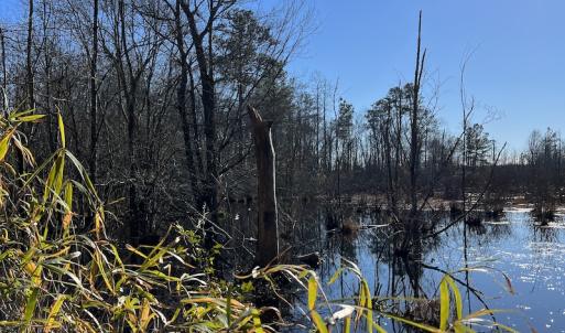 Photo #21 of SOLD property in 1520 Fiddlers Rd, Emporia, VA 85.1 acres