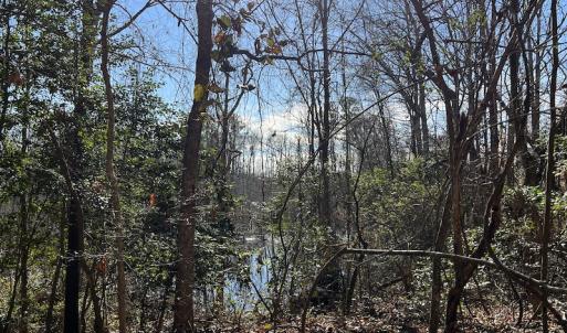 Photo #22 of SOLD property in 1520 Fiddlers Rd, Emporia, VA 85.1 acres