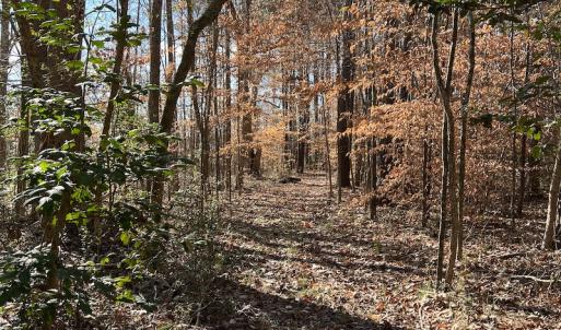 Photo #23 of SOLD property in 1520 Fiddlers Rd, Emporia, VA 85.1 acres
