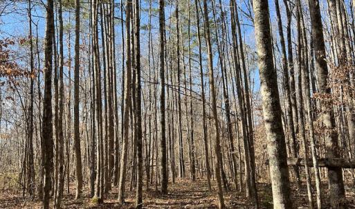 Photo #24 of SOLD property in 1520 Fiddlers Rd, Emporia, VA 85.1 acres