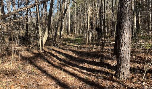 Photo #25 of SOLD property in 1520 Fiddlers Rd, Emporia, VA 85.1 acres
