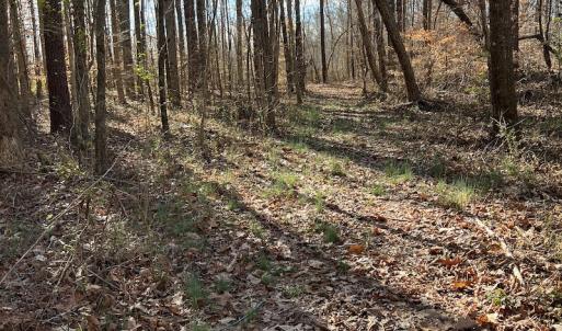 Photo #26 of SOLD property in 1520 Fiddlers Rd, Emporia, VA 85.1 acres