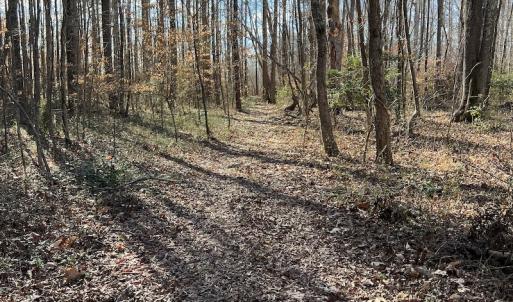 Photo #27 of SOLD property in 1520 Fiddlers Rd, Emporia, VA 85.1 acres