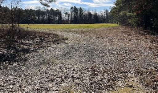 Photo #29 of SOLD property in 1520 Fiddlers Rd, Emporia, VA 85.1 acres