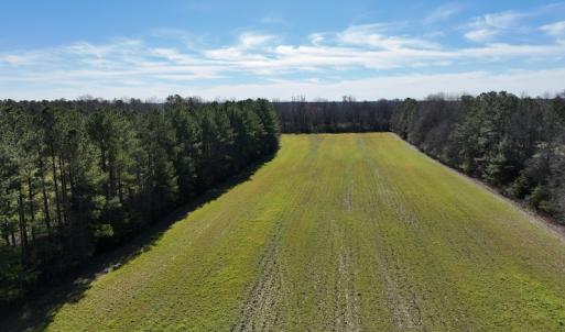 Photo #35 of SOLD property in 1520 Fiddlers Rd, Emporia, VA 85.1 acres