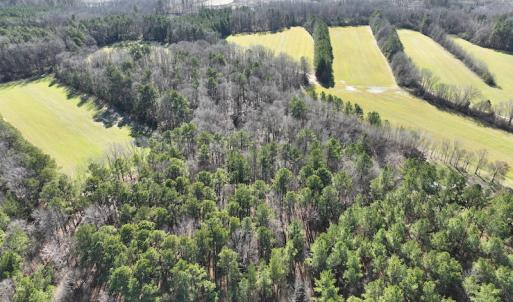 Photo #39 of SOLD property in 1520 Fiddlers Rd, Emporia, VA 85.1 acres