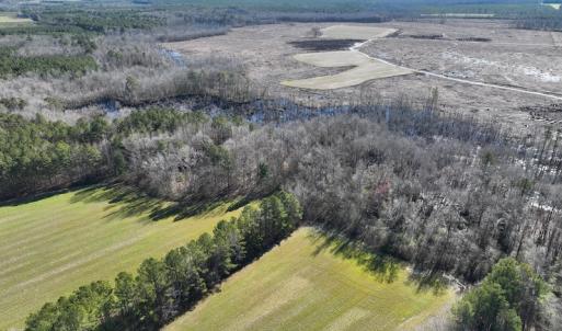 Photo #45 of SOLD property in 1520 Fiddlers Rd, Emporia, VA 85.1 acres
