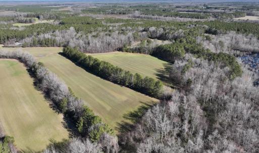 Photo #48 of SOLD property in 1520 Fiddlers Rd, Emporia, VA 85.1 acres