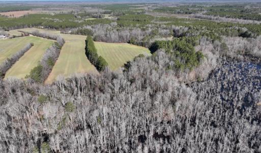 Photo #50 of SOLD property in 1520 Fiddlers Rd, Emporia, VA 85.1 acres