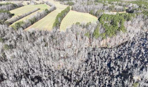 Photo #53 of SOLD property in 1520 Fiddlers Rd, Emporia, VA 85.1 acres