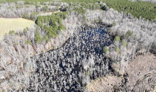 Photo #54 of SOLD property in 1520 Fiddlers Rd, Emporia, VA 85.1 acres
