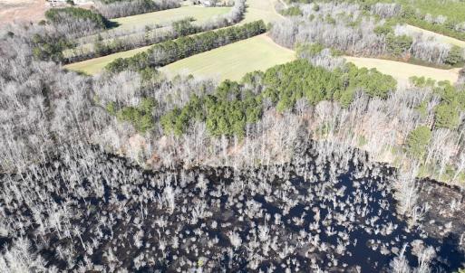Photo #56 of SOLD property in 1520 Fiddlers Rd, Emporia, VA 85.1 acres
