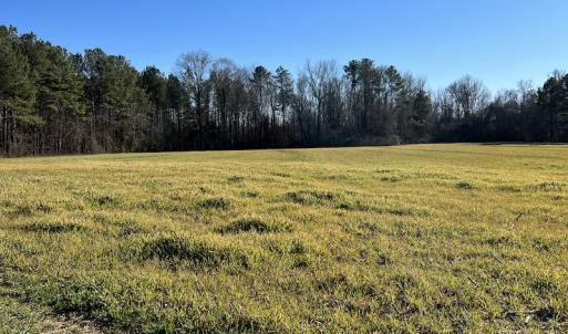 Photo #4 of SOLD property in 1520 Fiddlers Rd, Emporia, VA 85.1 acres