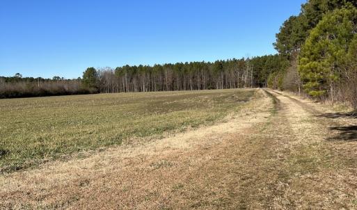Photo #6 of SOLD property in 1520 Fiddlers Rd, Emporia, VA 85.1 acres