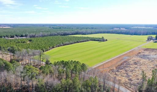 Photo #2 of SOLD property in Off Horse Pen Rd, Courtland, VA 81.8 acres